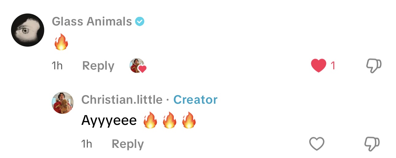 Glass Animals: “🔥”